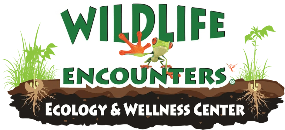 A logo for Wildlife Encounters Ecology & Wellness center. There is a picture of a frog and sprouting plants.